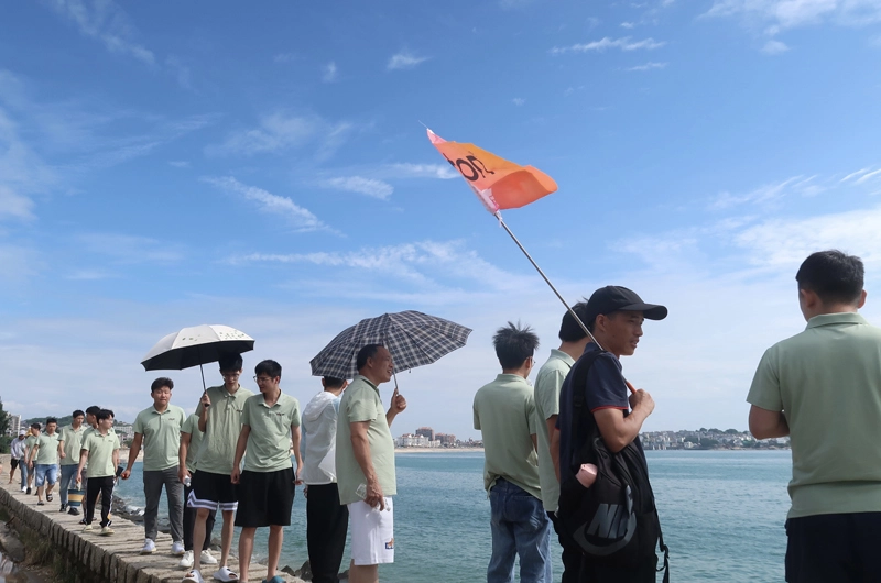 丰富的员工活动