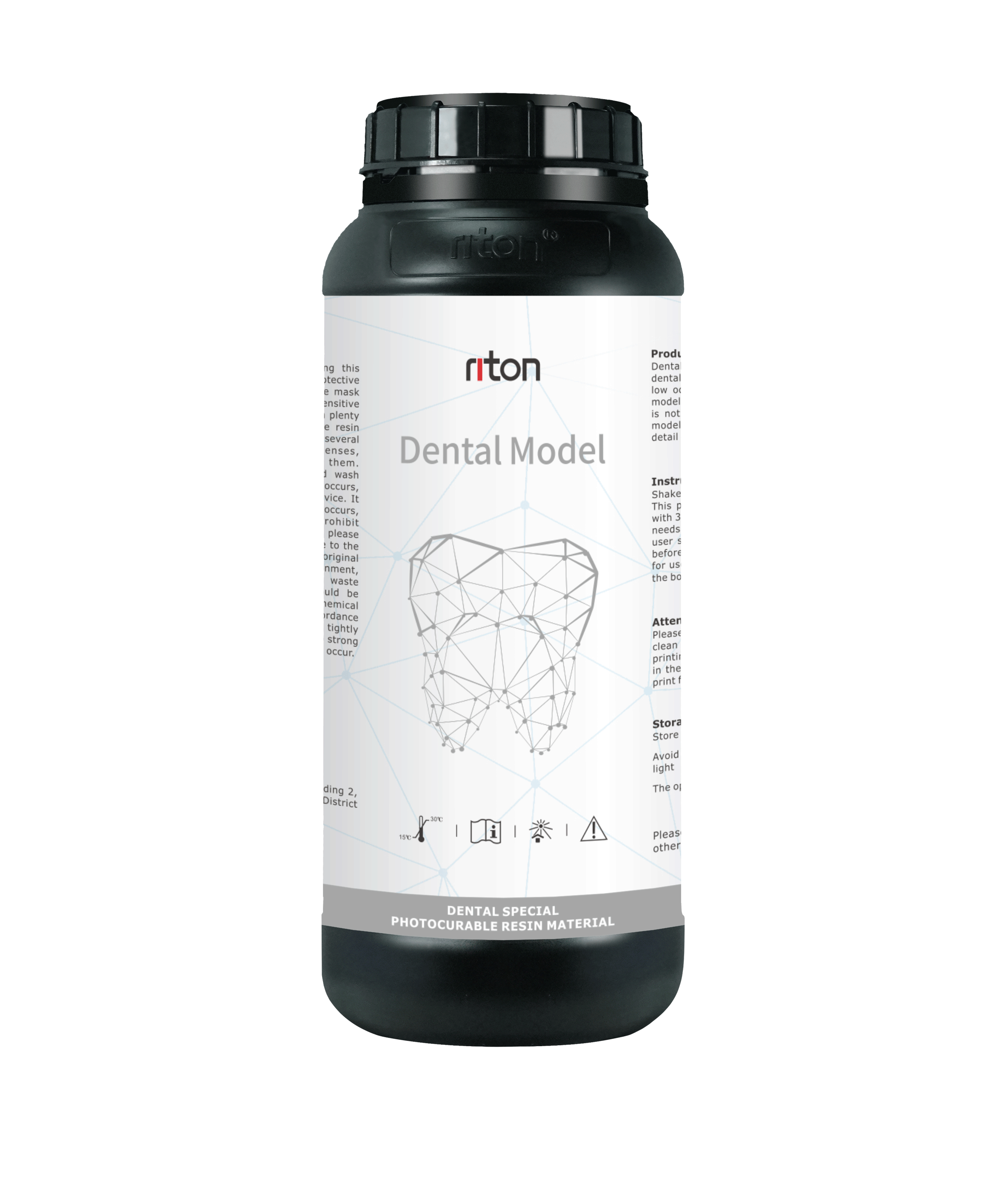 Dental Model